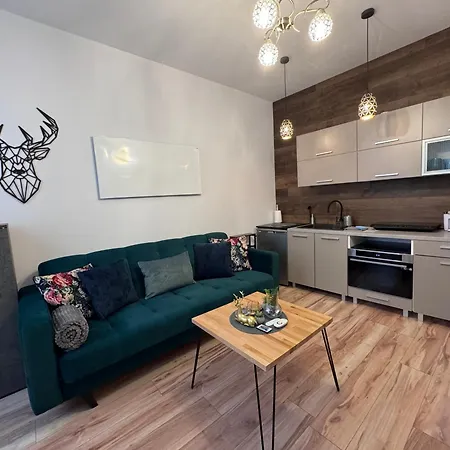 Apartament W Centrum Jeleniej Gory Przy Ulicy Dlugiej Jelenia Góra Exterior foto